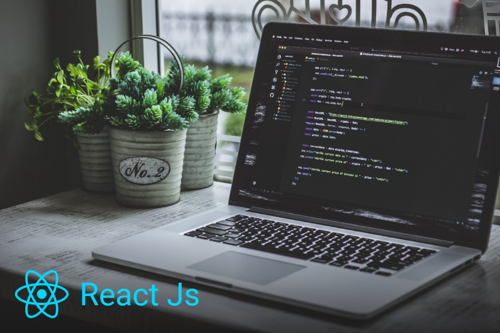 ReactJS development in healthcare