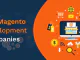 Magento Development Companies